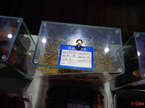服務區(qū)高價鹿茸鹿鞭引爭議，高速公司表態(tài)嚴查整改