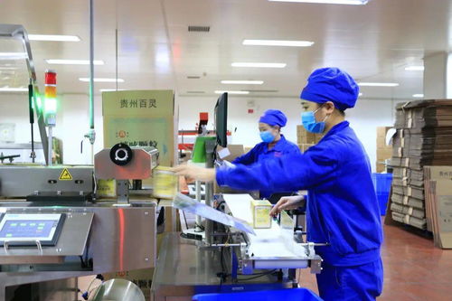 貴州百靈榮獲貴州省抗擊新冠肺炎疫情先進集體稱號，助力出入境服務